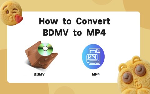 what is file bdmv? learn about this video format now