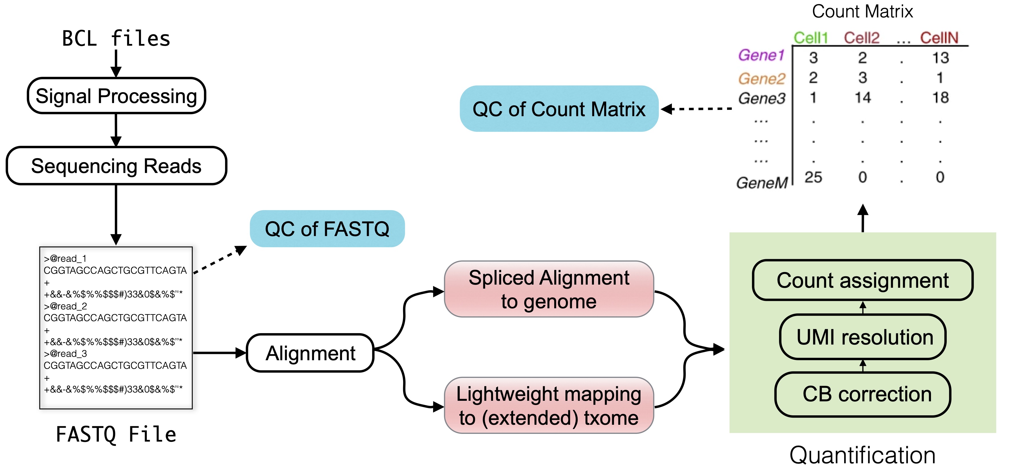 Fastest fna to fastq conversion methods? Get your results in minutes now!