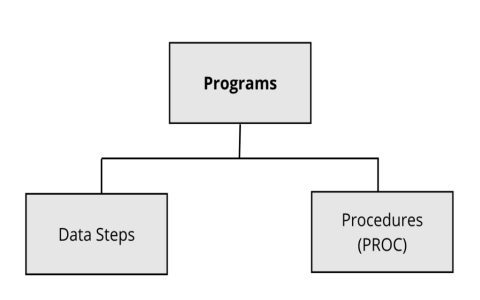 Proc Means SAS vs Proc Summary? Choose the Right SAS Tool!