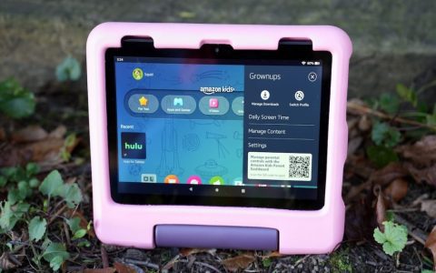 Amazon Fire 10 tablet vs iPad which one is the better buy for you now