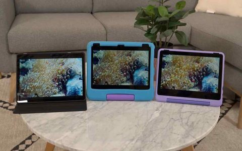 Fire 10 vs iPad Battle Test Best Tablet Pick for Kids Use