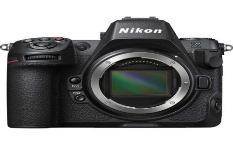 Camera body comparison DSLR vs mirrorless which wins