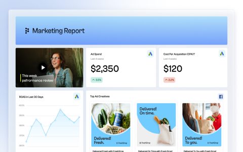 cheap agencyanalytics alternative options you can try today