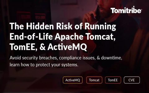 How to Pick Best Tomcat Hosting Run Your App Without Hassle