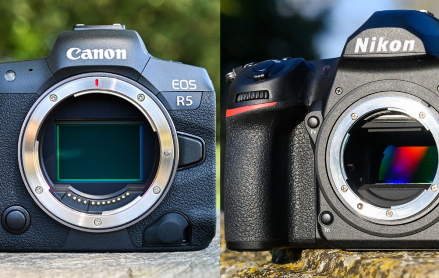 Camera body comparison DSLR vs mirrorless which wins