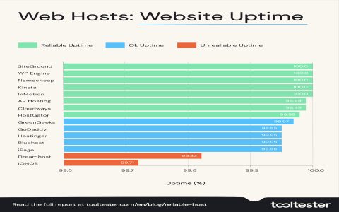 Best Web Hosting UAE Reliable Sites - Why Speed and Uptime Matter!