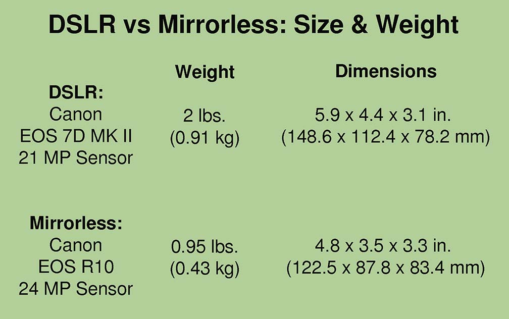 Camera body comparison DSLR vs mirrorless which wins