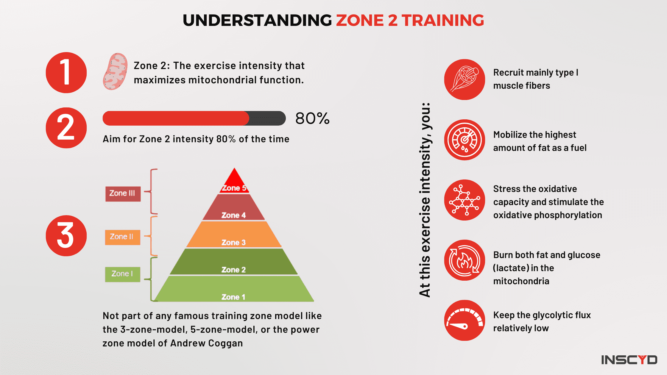 What is powered zone 2 training? Discover easy tips to boost your fitness!